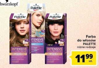 Carrefour Farba do włosów średni blond n6 palette intensive color creme oferta