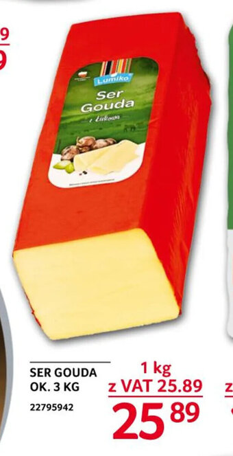 Selgros Ser Gouda 1 kg oferta