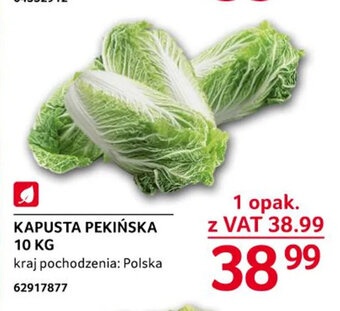 Selgros Kapusta pekińska 10 kg oferta