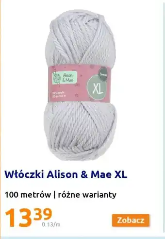 Action Włóczki Alison & Mae XL 100 m oferta