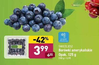 ALDI Borówki amerykańskie Opak. 125 g oferta