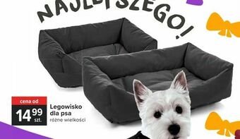 Carrefour Legowisko dla psa oferta