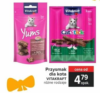Carrefour Przysmak dla kota oferta