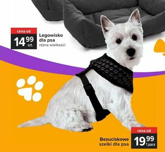 Carrefour Bezuciskowe szelki dla psa oferta