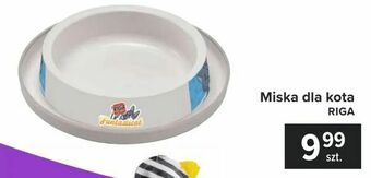 Carrefour Miska dla kota oferta