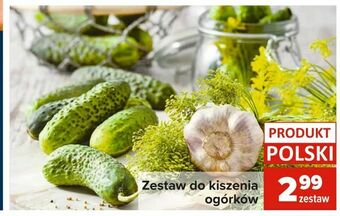 Zestaw do kiszenia ogórków