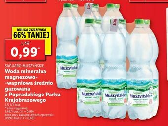 Lidl Woda mineralna magnezowo- -wapniowa średnio gazowana z Popradzkiego Parku Krajobrazowego oferta