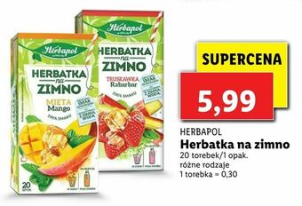 Lidl Herbatka na zimno oferta