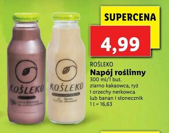 Napój roślinny