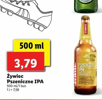 Lidl Żywiec Pszeniczne IPA oferta