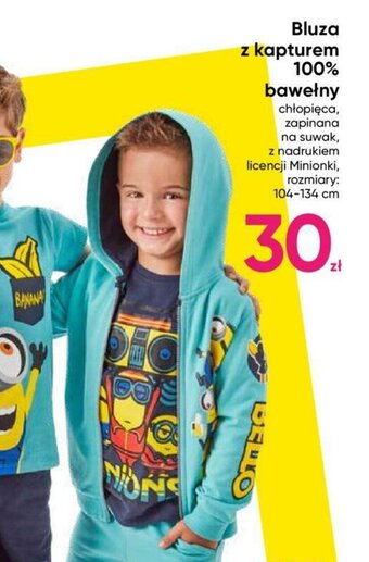 Pepco Bluza z kapturem 100% bawełny oferta