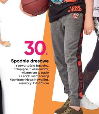 Pepco Spodnie dresowe chłopięce oferta