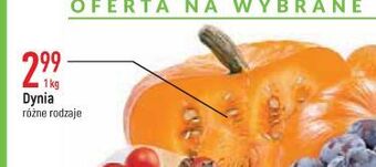 E.Leclerc Dynia oferta