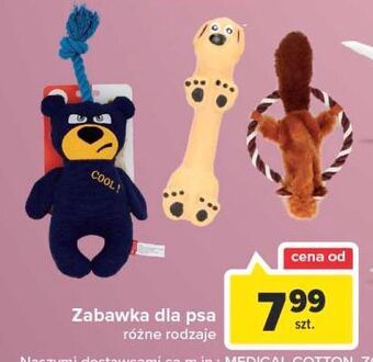 Carrefour Zabawka dla psa oferta