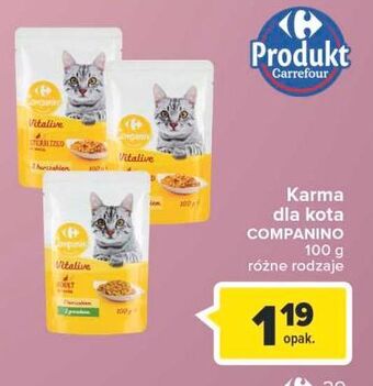 Carrefour Karma dla kota z kurczakiem sterilized carrefour companino oferta