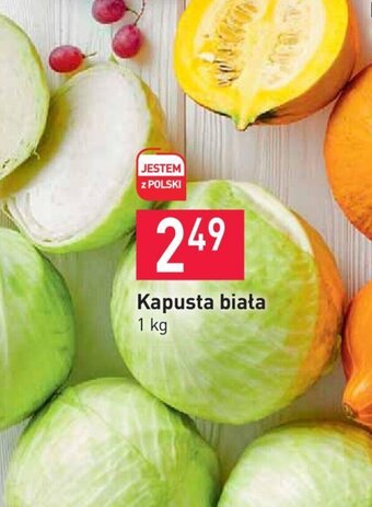 Stokrotka Kapusta biała 1 kg oferta