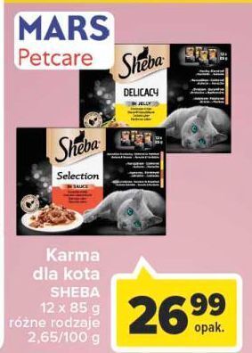 Carrefour Karma dla kota z wołowiną sheba selection in sauce oferta