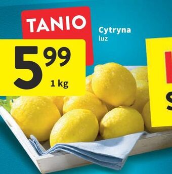 Intermarche Cytryny oferta