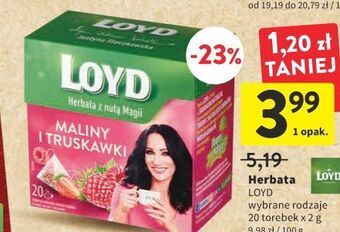 Herbata malina-truskawka loyd tea the magic experience