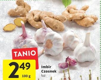 Intermarche Imbir oferta
