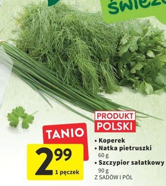 Intermarche Natka pietruszki oferta