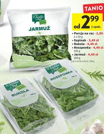 Rukola z sadów i pól