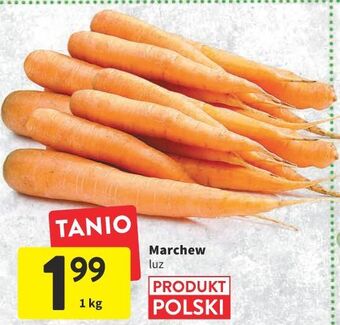 Intermarche Marchew oferta