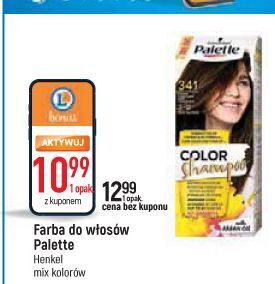 Szampon do koloryzacji włosów 341 palette color shampoo