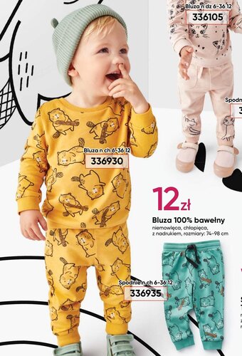 Pepco Bluza 100% bawełny oferta