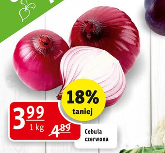 Prim Market Cebula czerwona 1 kg oferta