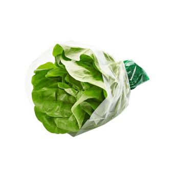 ALDI Sałata masłowa z kostką oferta