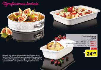 Carrefour Forma nature 26 x 15 cm ambition oferta