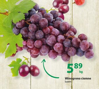 Auchan Winogrona ciemne oferta