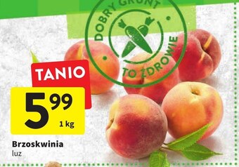 Intermarche Brzoskwinia oferta