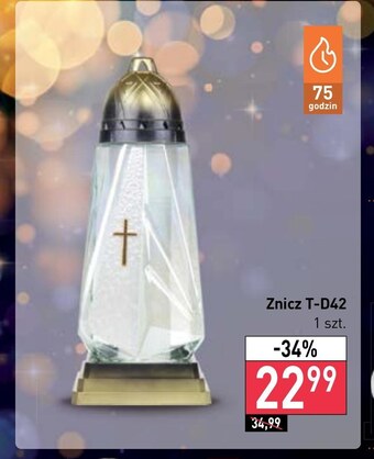 Stokrotka Market Znicz stokrotka oferta