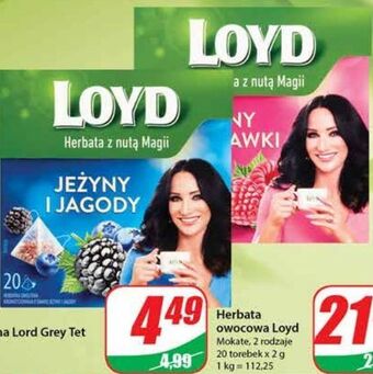 Dino Herbata malina-truskawka loyd tea the magic experience oferta
