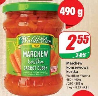 Dino Marchew kostka waldiben oferta