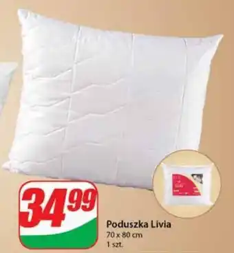 Dino Poduszka z mikrofibry livia 70 x 80 cm oferta