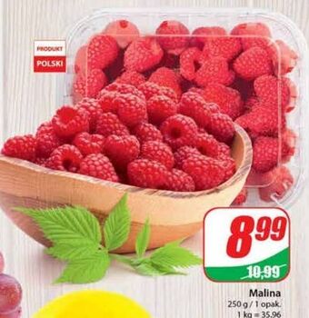 Dino Maliny oferta
