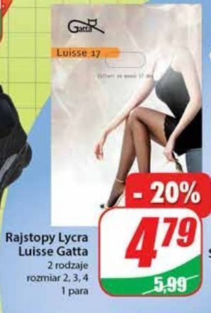 Dino Rajstopy luisse 17 den gatta oferta