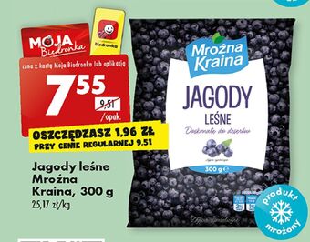 Biedronka Jagody leśne mroźna kraina oferta