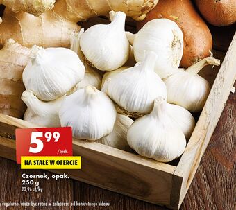 Biedronka Czosnek oferta