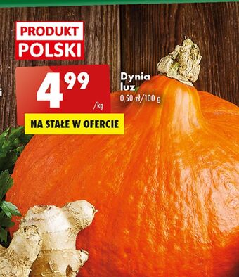 Biedronka Dynia oferta