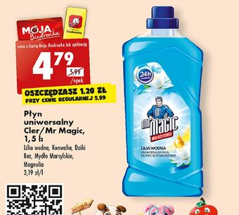 Biedronka Płyn uniwersalny lilia wodna mr magic oferta