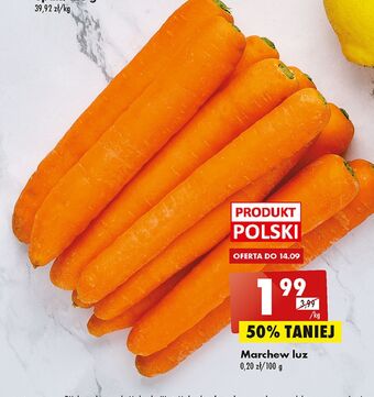 Biedronka Marchewka oferta