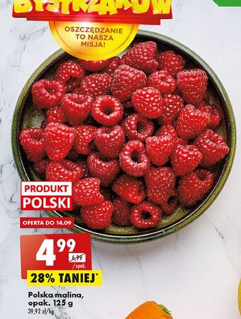 Biedronka Maliny oferta