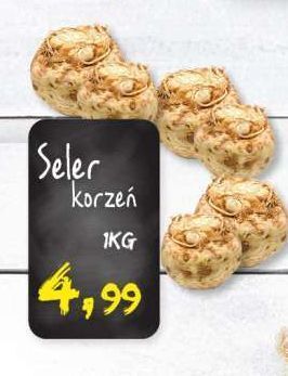 E.Leclerc Seler korzeń oferta