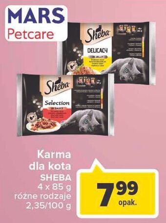 Carrefour Karma dla kota smaki soczyste sheba selection in sauce oferta