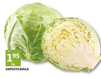 Auchan Kapusta biała oferta