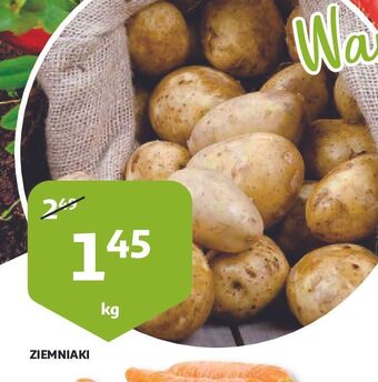 Auchan Ziemniaki oferta